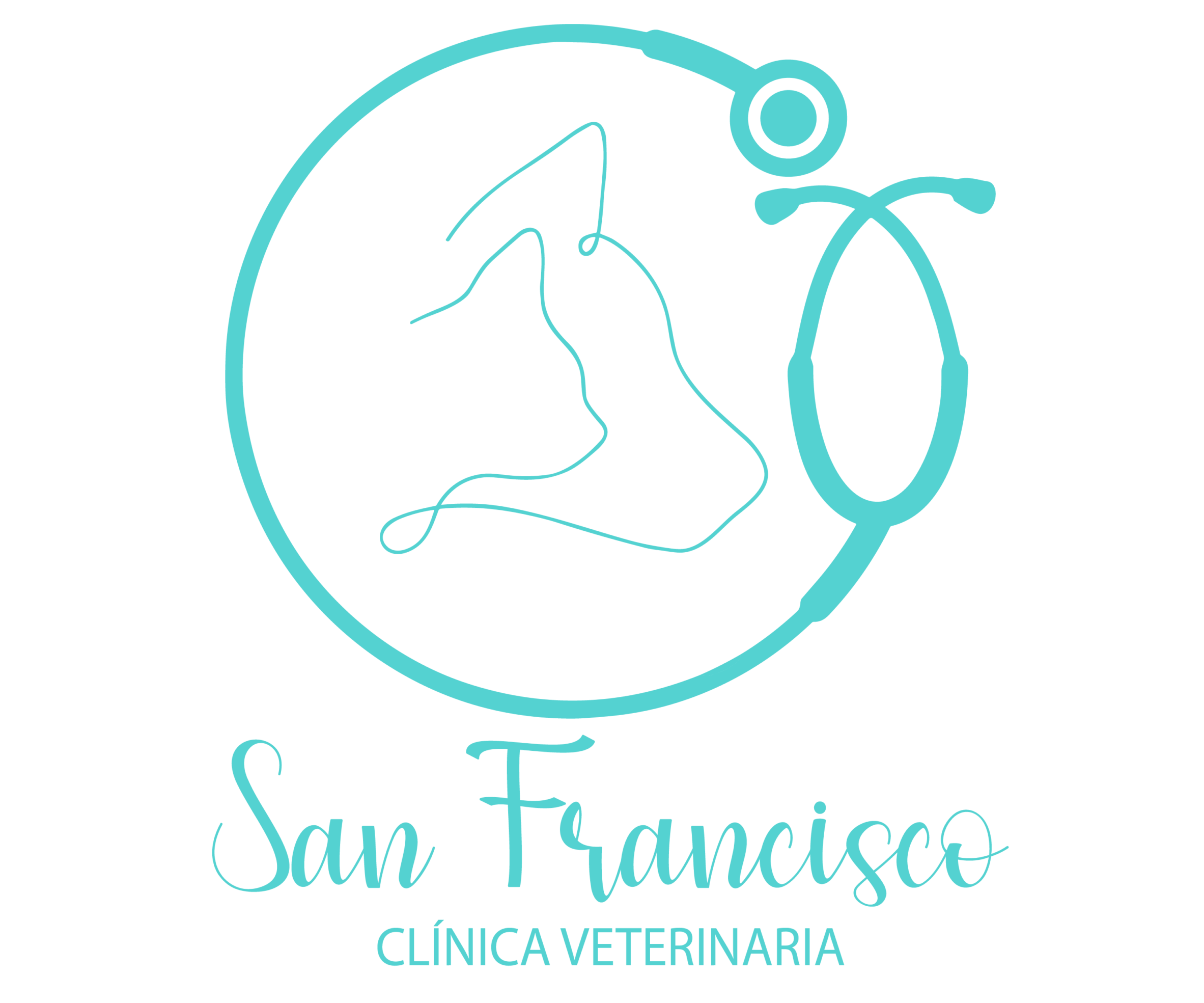 sanfrancisco-clinvet.com